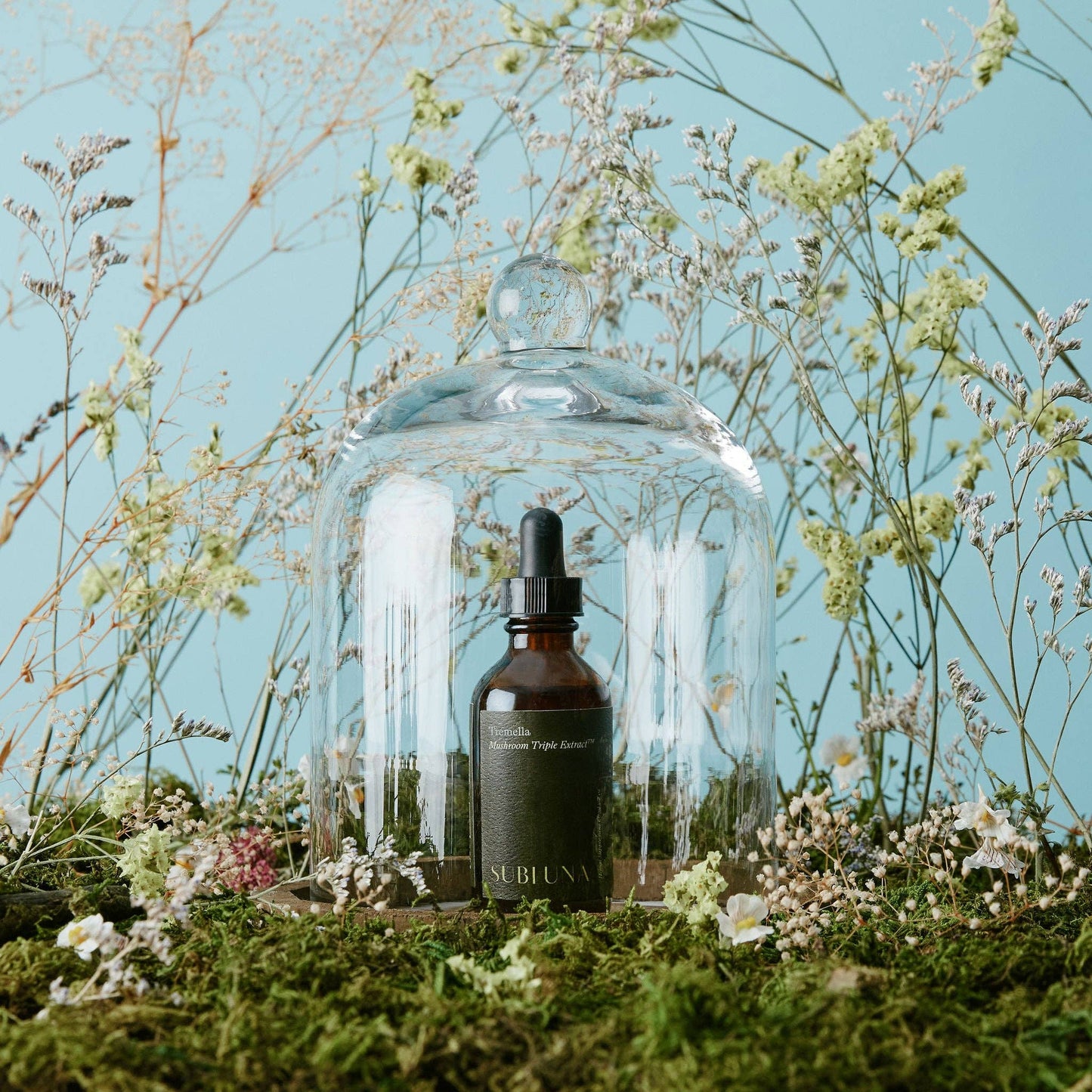 Tremella Mushroom Elixir | Triple Extract