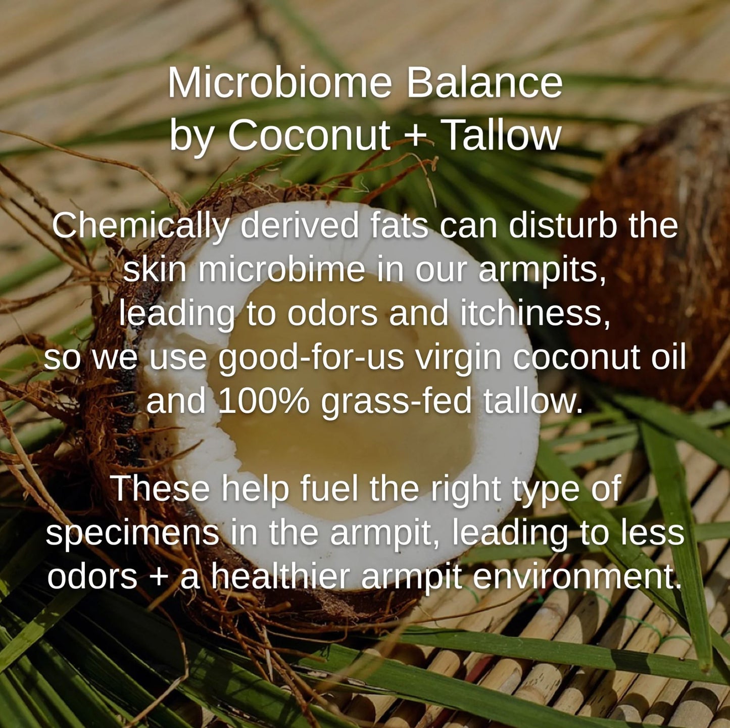 Zinc + Charcoal + Magnesium Deodorant