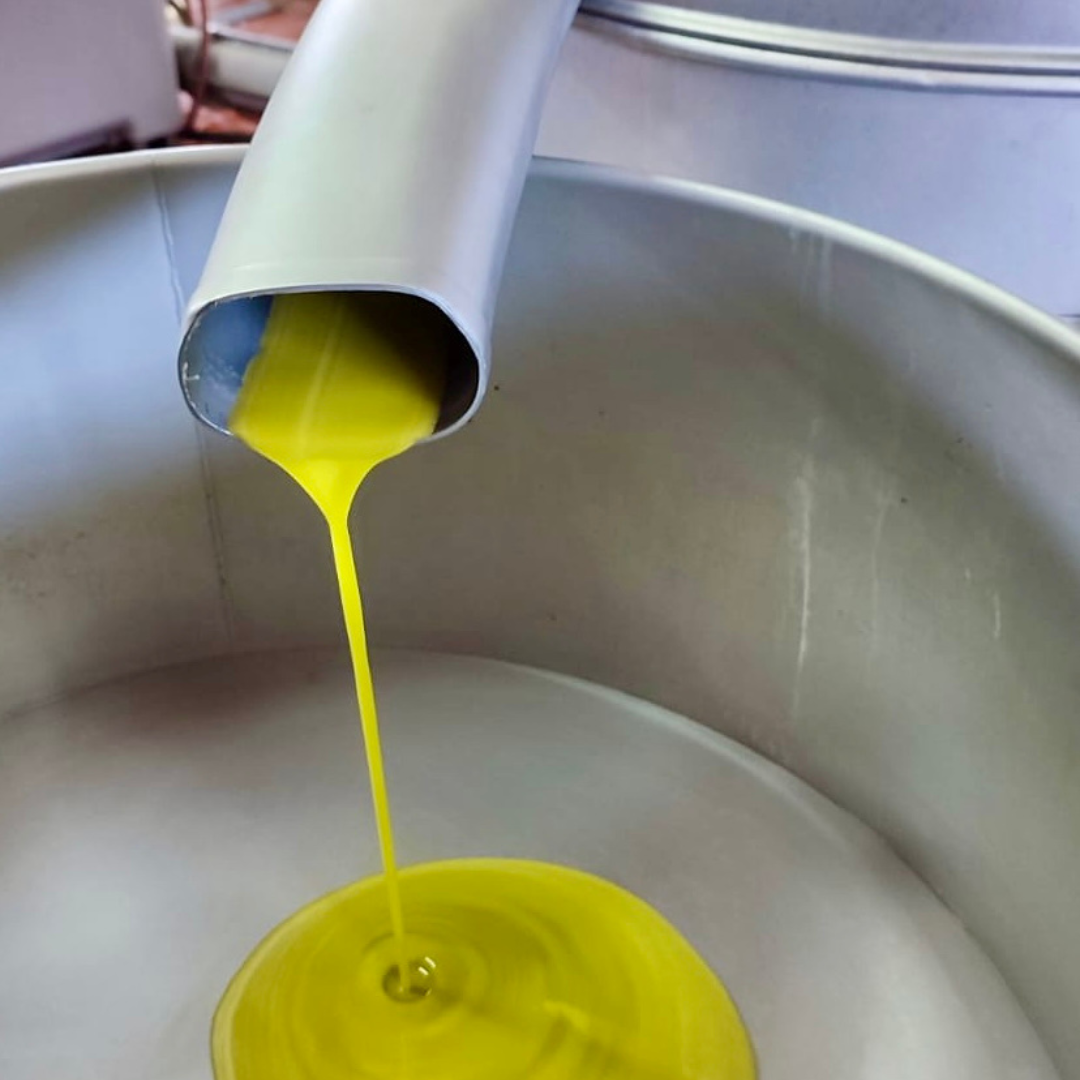 Extra Virgin Olive Oil | High Antioxidant + Polyphenol