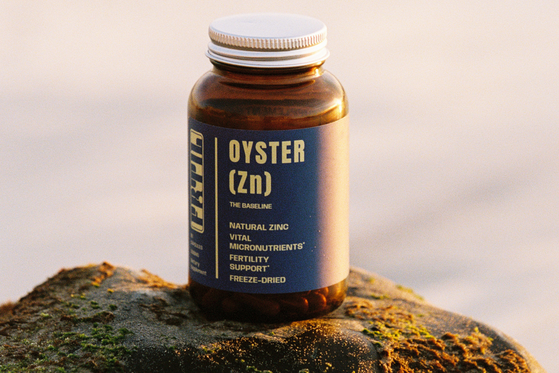 Immune System Edition Part 1: Prevention Is The Best Medicine