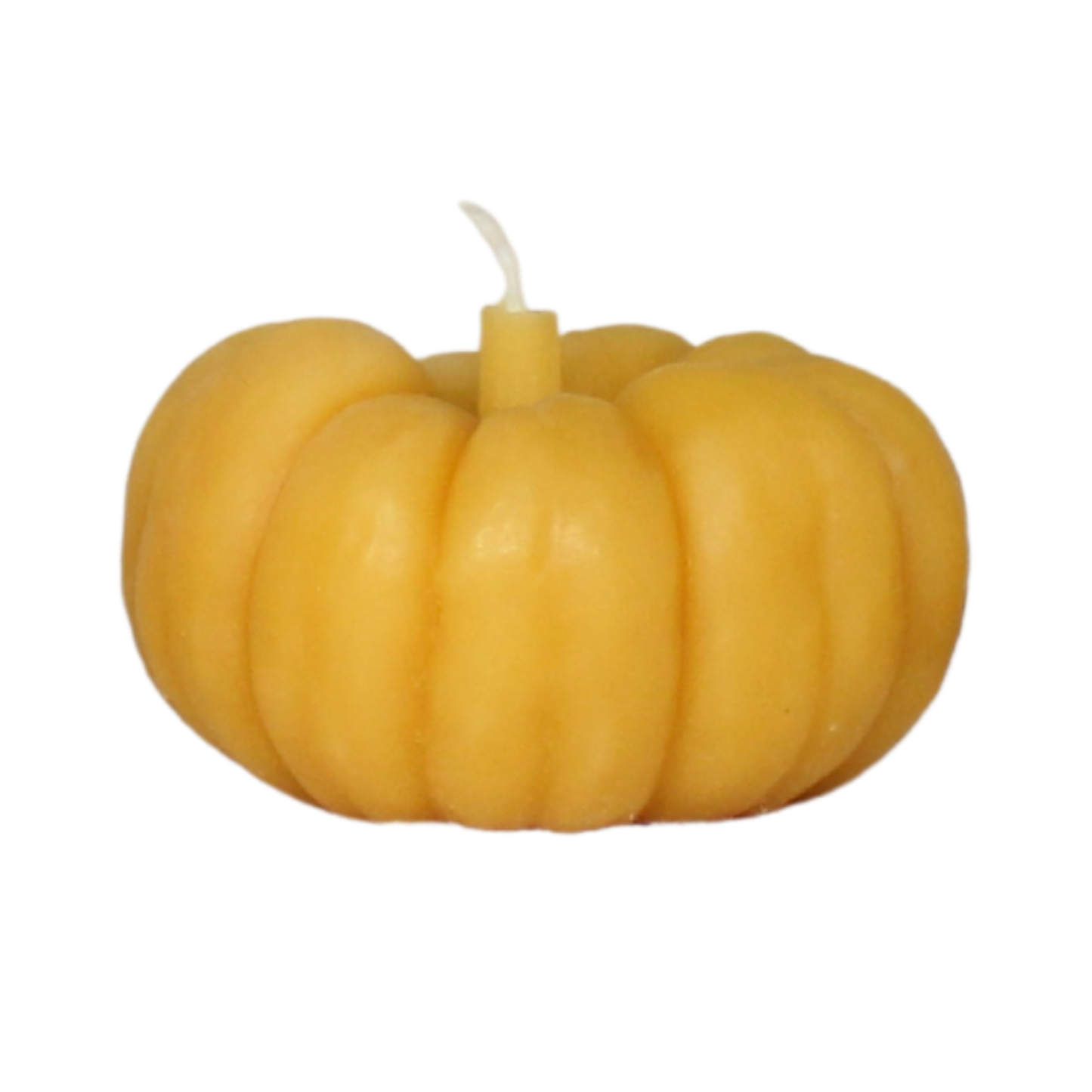 Sweet Maíz Fall Harvest Table Beeswax Candles | Pumpkins, Corn, Squash
