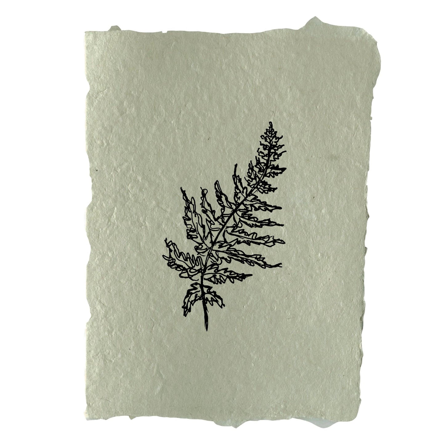 Fern Note Card Or Art Print
