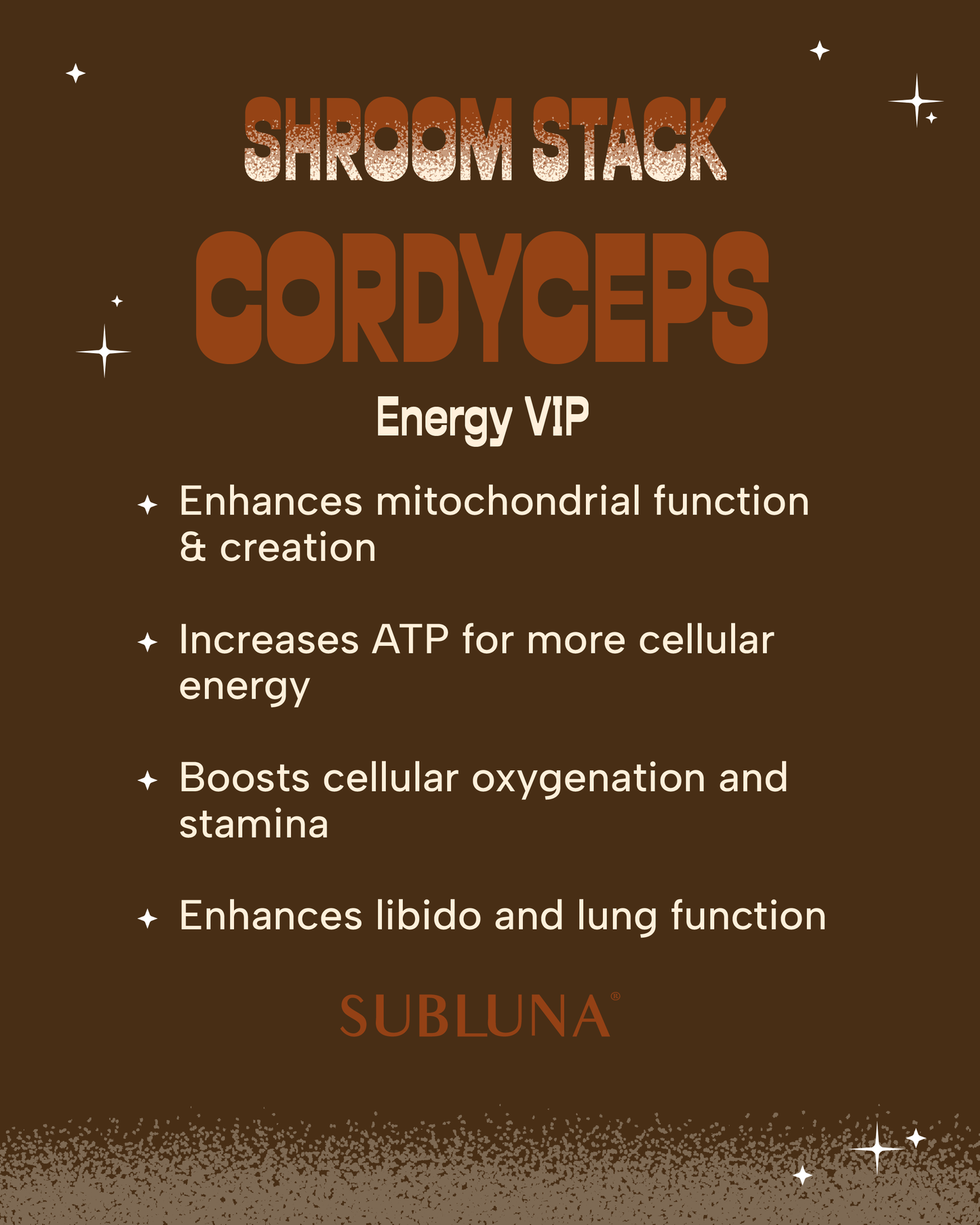 Shroom Stack | Medicinal Mushroom Gummies