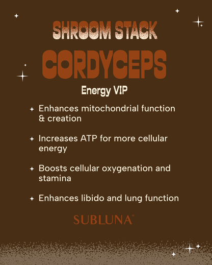 Shroom Stack | Medicinal Mushroom Gummies