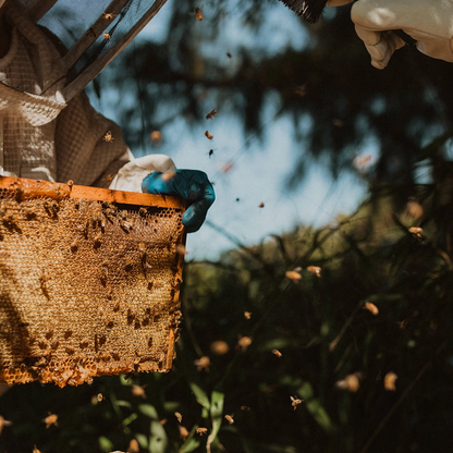 LAKA Honey