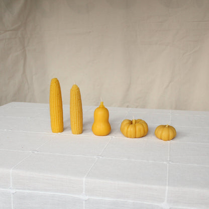 Sweet Maíz Fall Harvest Table Beeswax Candles | Pumpkins, Corn, Squash