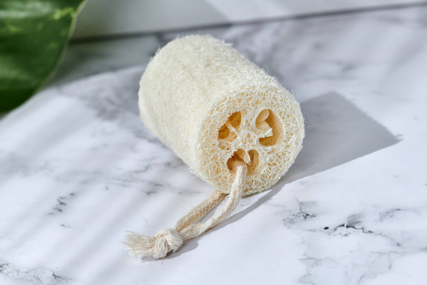 Natural Loofah Exfoliating Slices