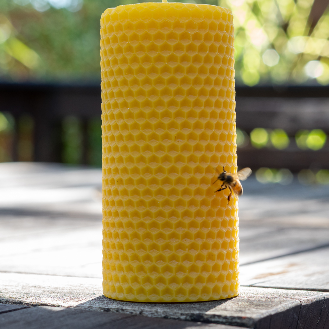 Winnie Beeswax Pillar Candle