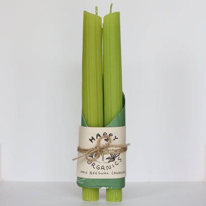 Celery Taper Beeswax Candles | Set of 2