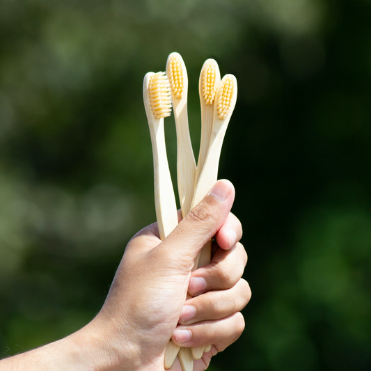 Boar Bristle Toothbrush