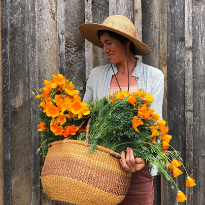 California Poppy Tincture