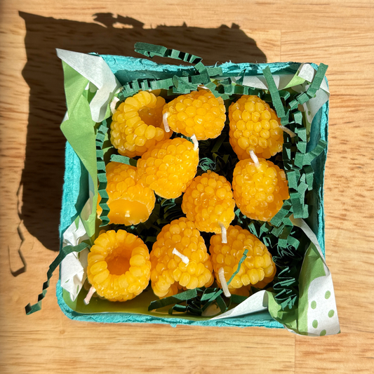 Golden Raspberry Birthday Beeswax Candles