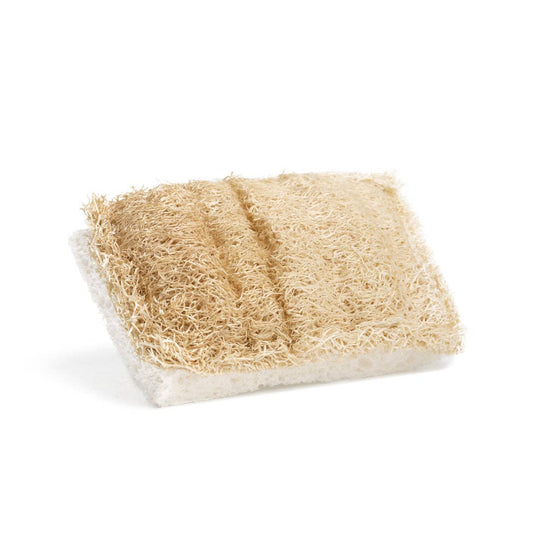 Cellulose and Loofah Dish Sponge