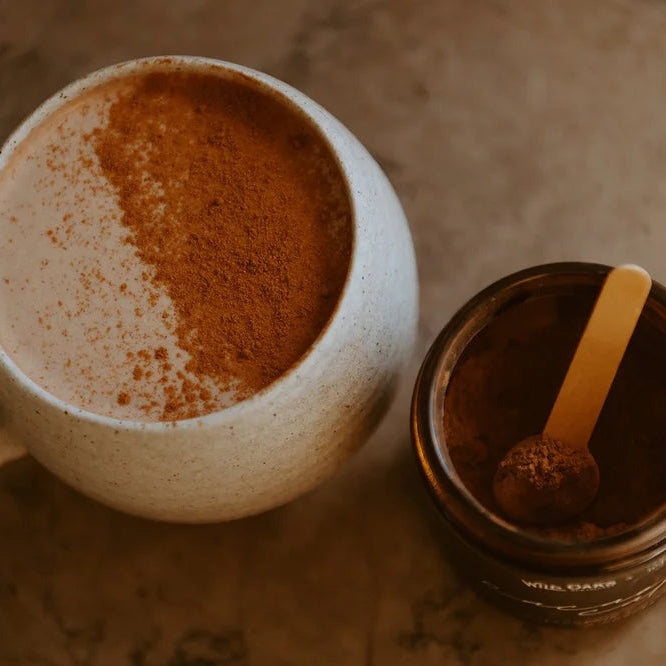 Gingerbread Hot Cocoa