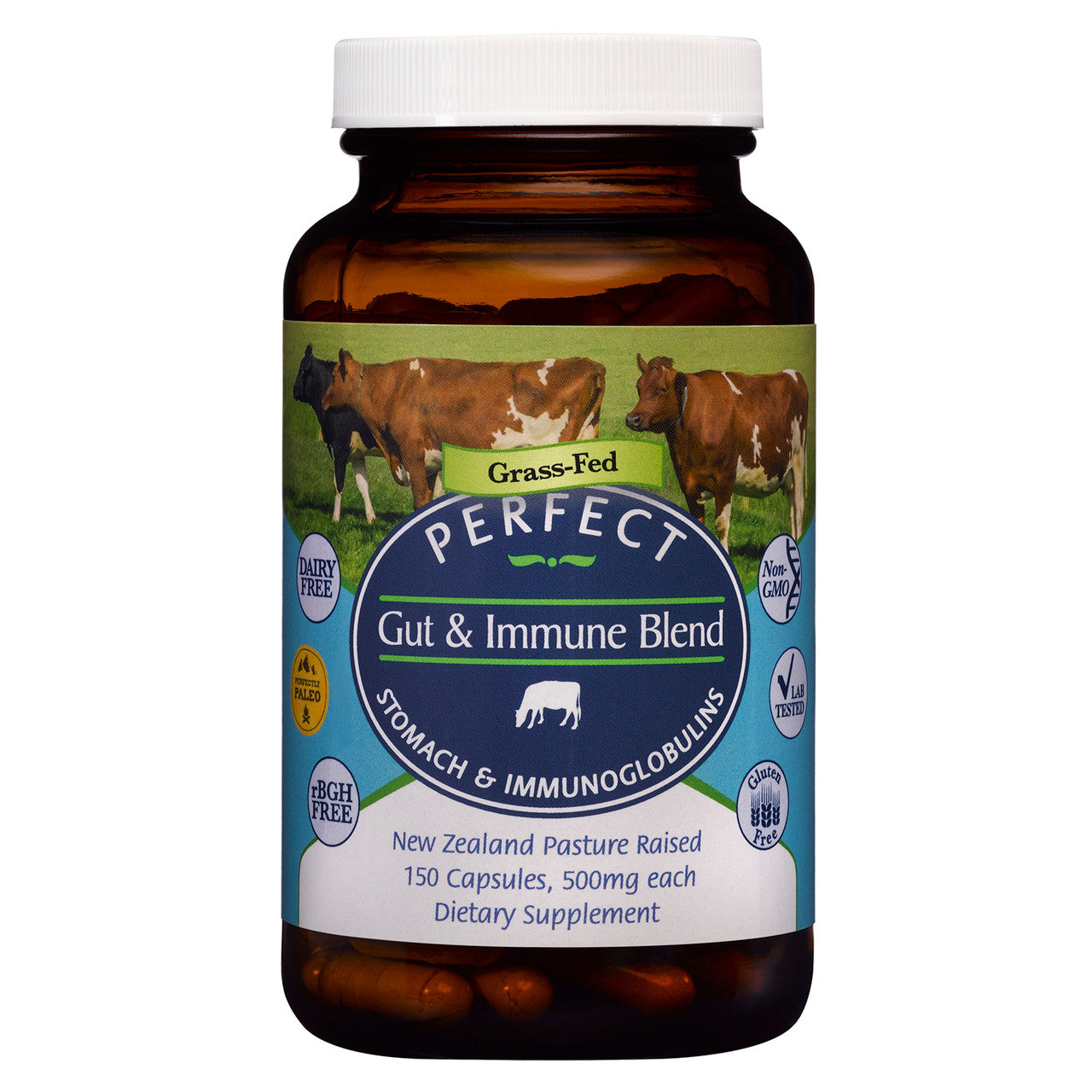 Perfect Gut + Immune Blend | IgG