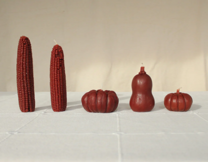 Chestnut Fall Harvest Table Beeswax Candles | Pumpkins, Corn, Squash