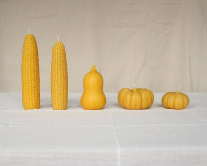 Sweet Maíz Fall Harvest Table Beeswax Candles | Pumpkins, Corn, Squash