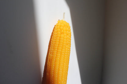 Sweet Maíz Fall Harvest Table Beeswax Candles | Pumpkins, Corn, Squash
